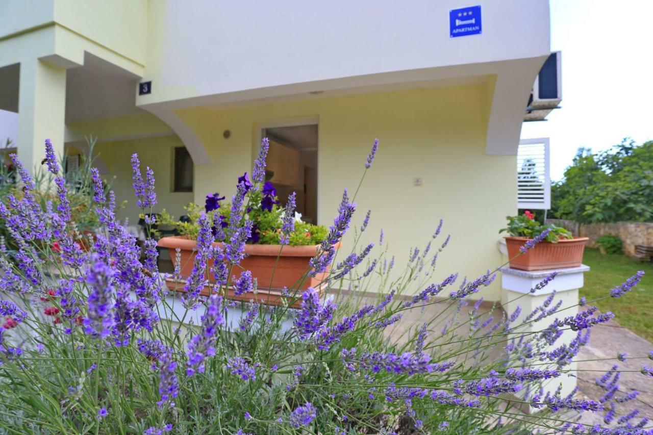 Apartments Romansa Затон Экстерьер фото
